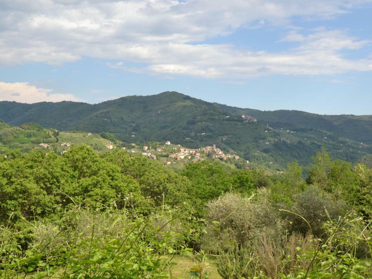Belvilla By Oyo Olivi Verde San Quirico  Luaran gambar
